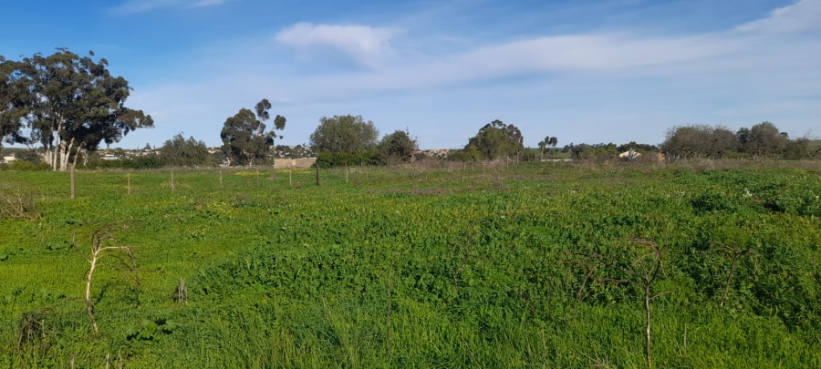 3 Bedroom Property for Sale in Hooikraal Western Cape